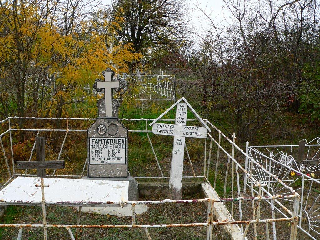Орлівка з panoramio.com - Orlivka