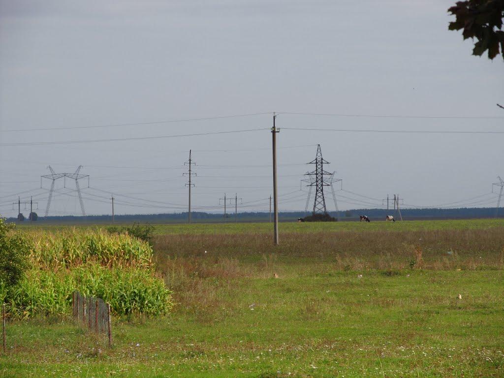 Підзамче з panoramio.com - Pidzamche