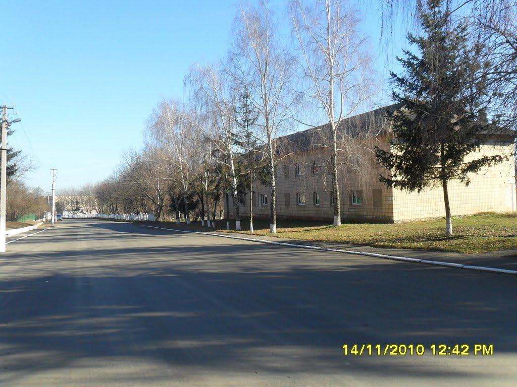 Княжа Криниця з panoramio.com - Княжа Криниця