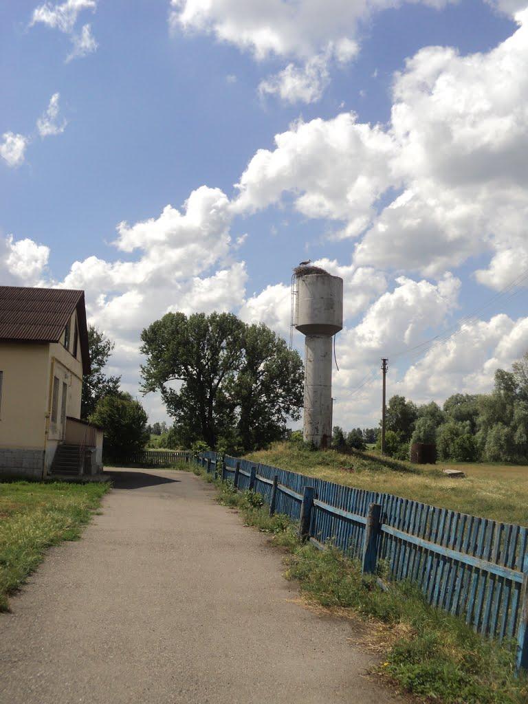 Козлівщина з panoramio.com - Козлівщина