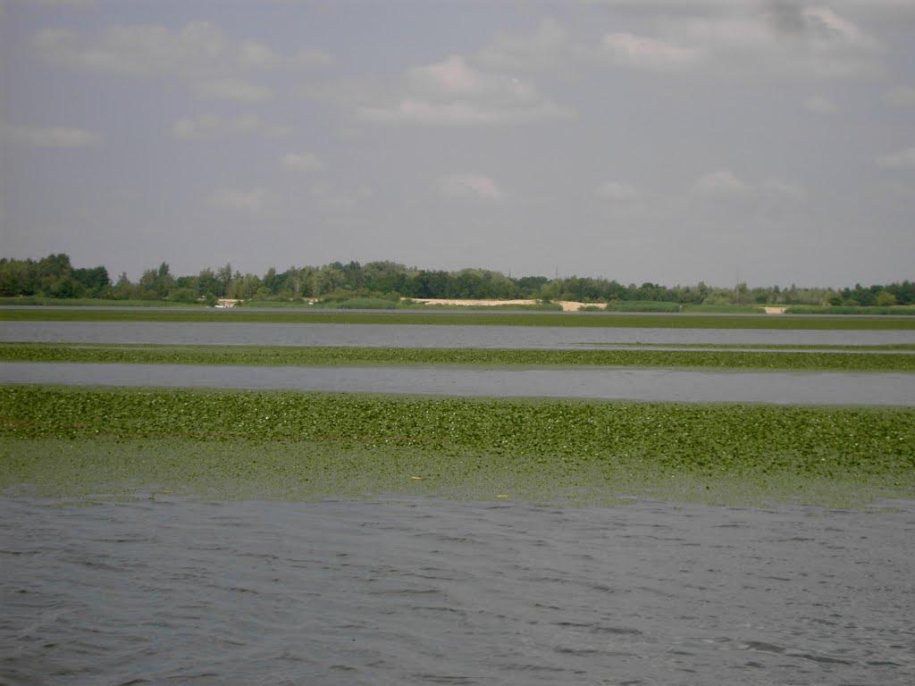 Стайки з panoramio.com - Стайки