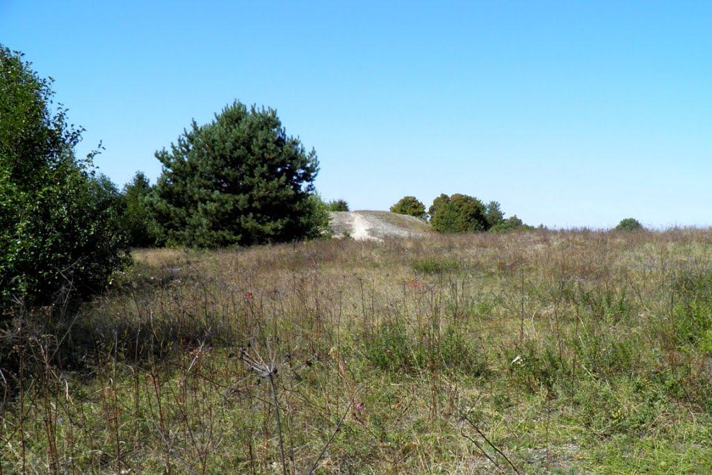 Млин з panoramio.com - Млын