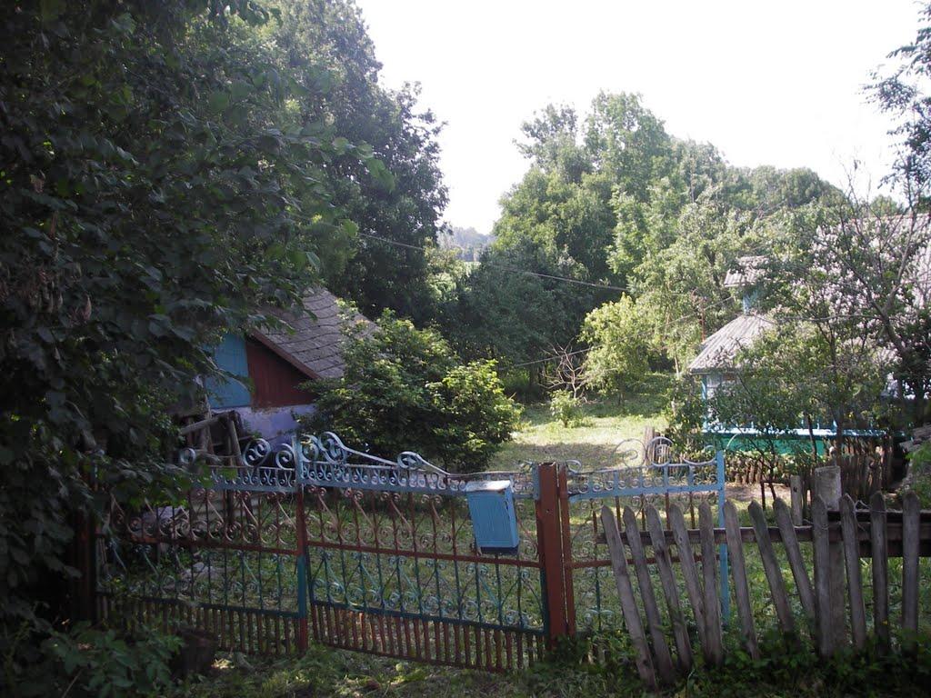 Михайлівці з panoramio.com - Михайлівці