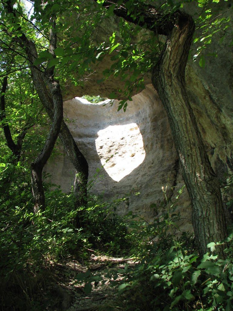 Партизанське з panoramio.com - Партизанське