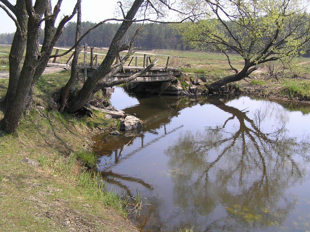 Ушиця з panoramio.com - Ушица