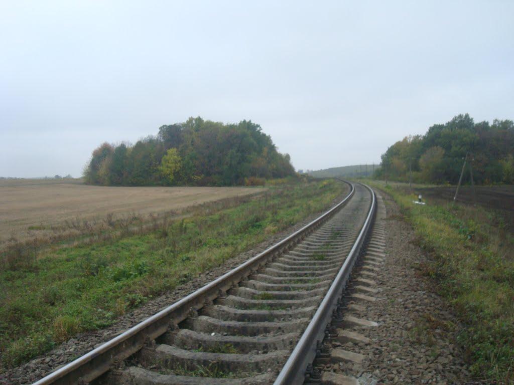 Буйволівці з panoramio.com - Буйволівці