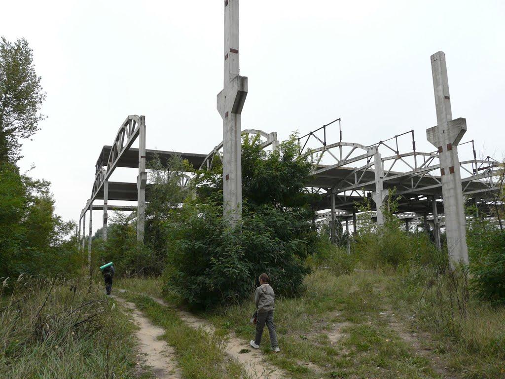 Вітове з panoramio.com - Вітове