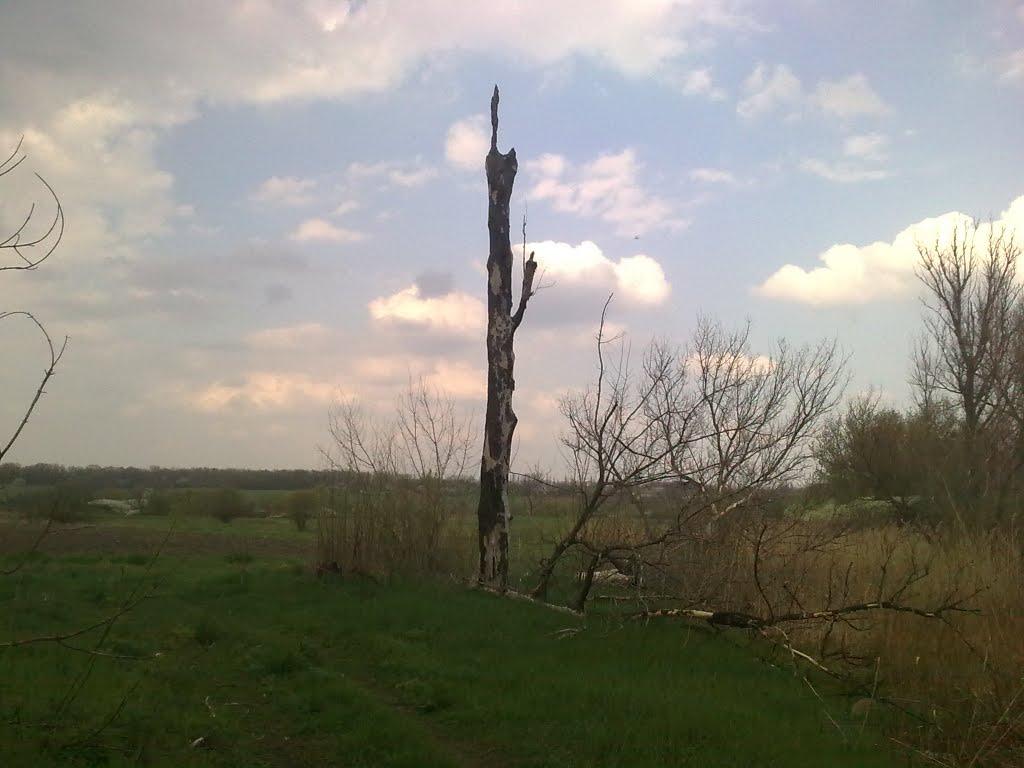 Преображенське з panoramio.com - Преображенское