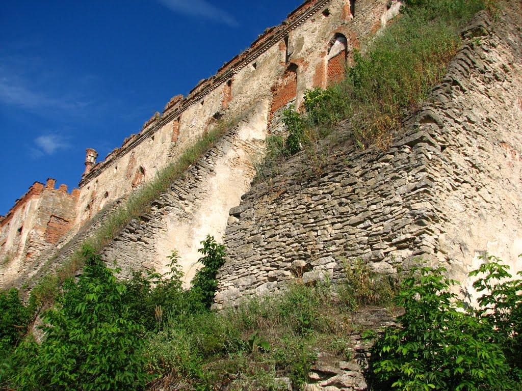 Требухівці з panoramio.com - Требуховцы