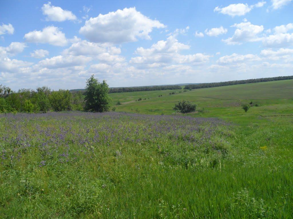 Микільське з panoramio.com - Микільське