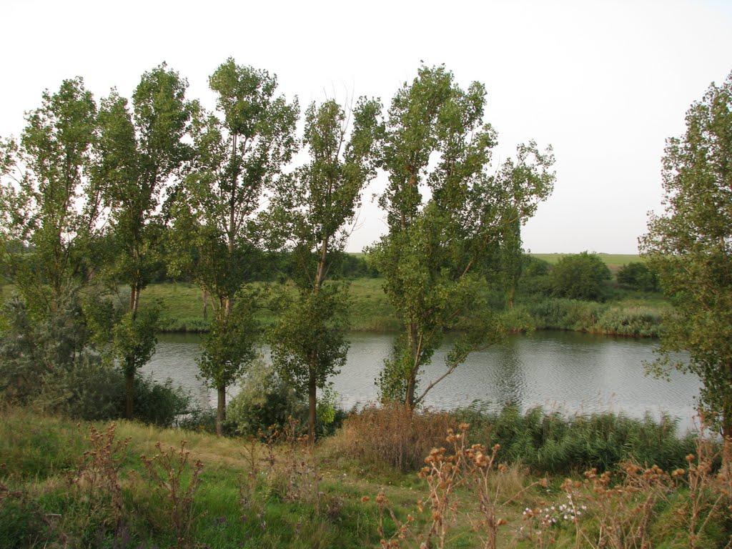 Олександрівка з panoramio.com - Александровка