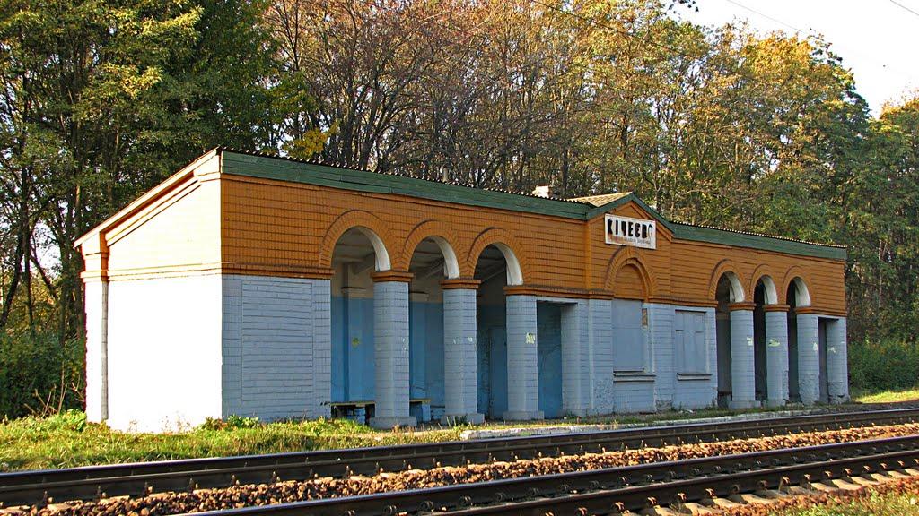 Ворзель з panoramio.com - Ворзель