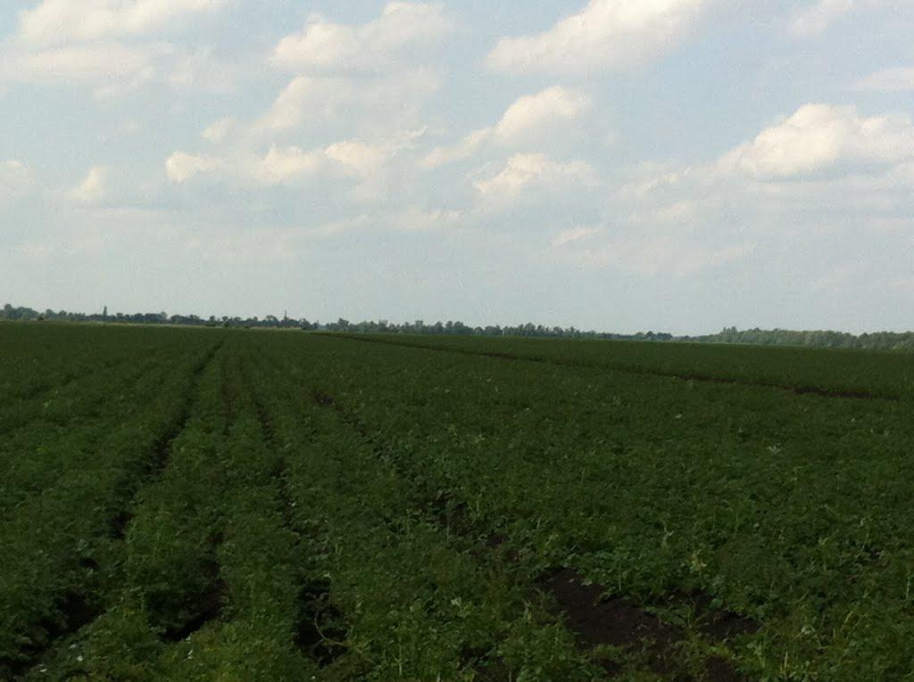 Красіне з panoramio.com - Красіне