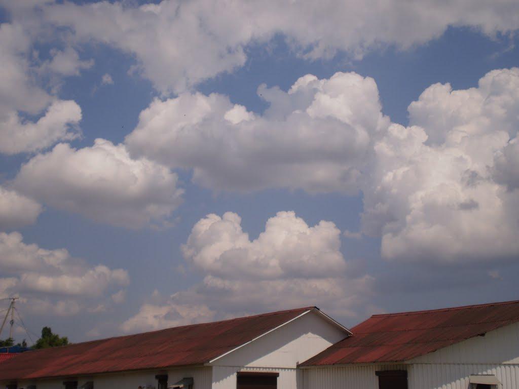 Грибівка з panoramio.com - Грибівка