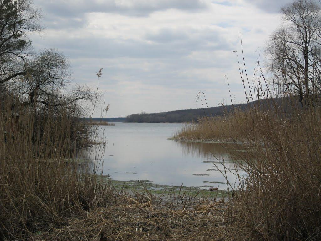 Яцьківка з panoramio.com - Яцьківка