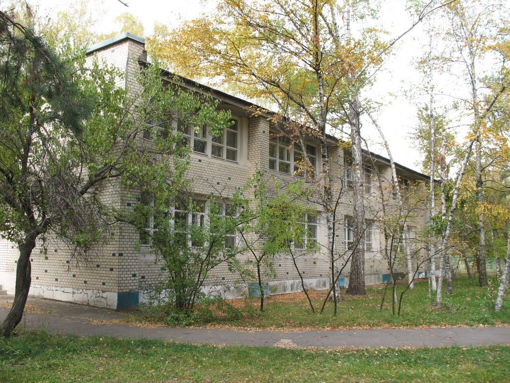 Козин з panoramio.com - Козин