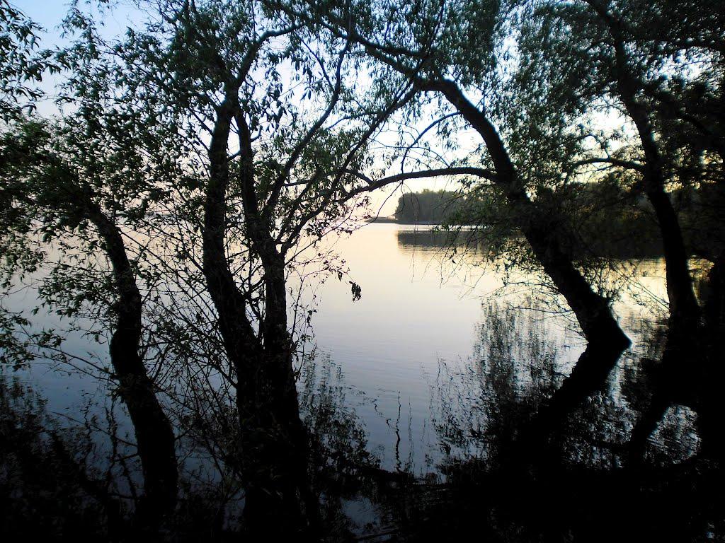 Липове з panoramio.com - Липове