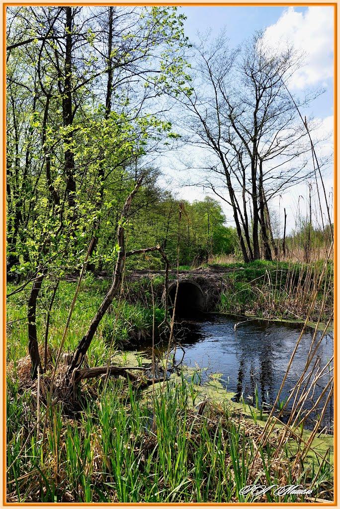 Серебрянка з panoramio.com - Серебрянка