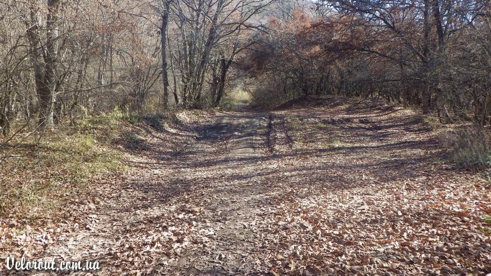 Багата Ущелина з panoramio.com - Bagata Uschelyna