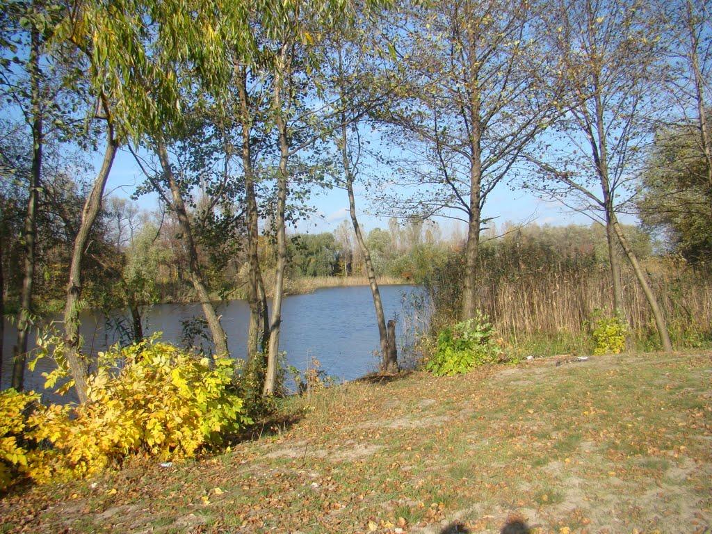 Решетилівка з panoramio.com - Reshetilivka