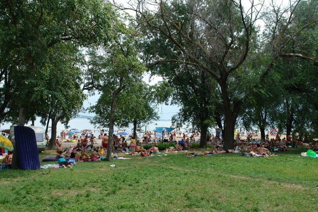 Лиманське з panoramio.com - Лиманское