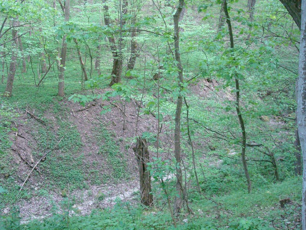 Нова Гута з panoramio.com - Нова Гута