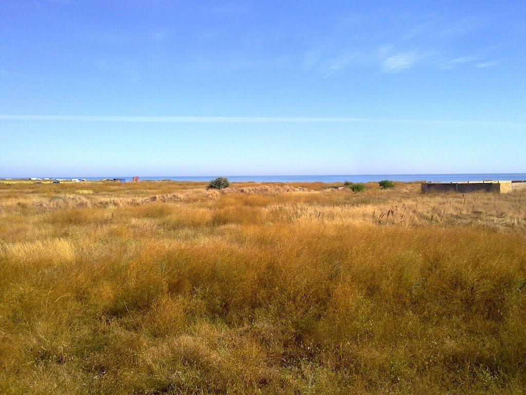 Жовтневе з panoramio.com - Жовтневое