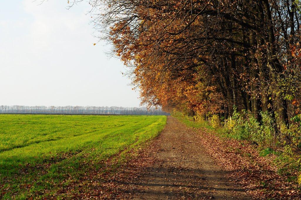 Малютянка з panoramio.com - Малютянка