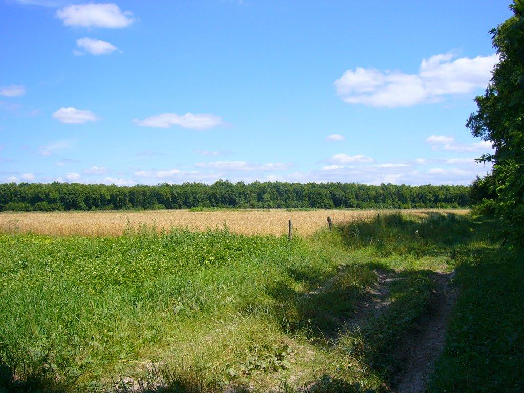 Медвин з panoramio.com - Медвин