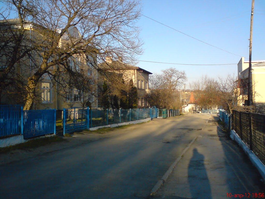 Чортків з panoramio.com - Чортков