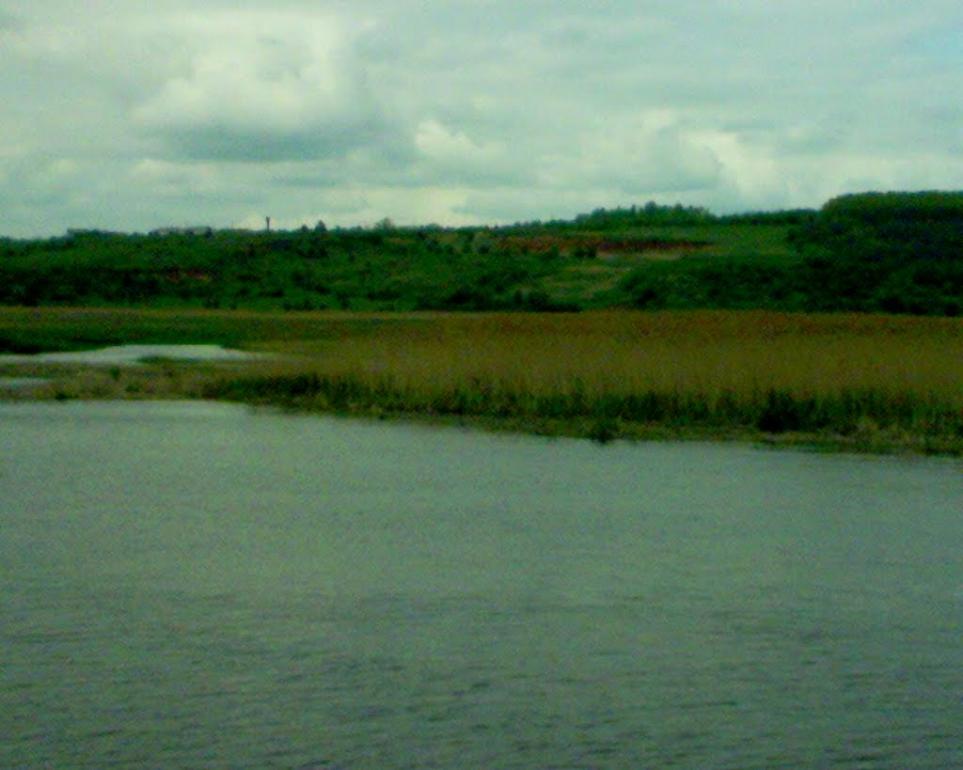 Мостове з panoramio.com - Мостове