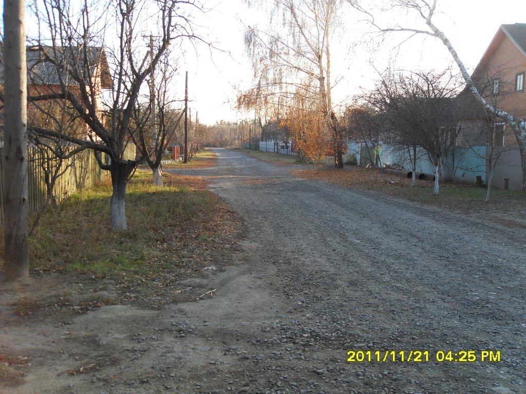 Диканька з panoramio.com - Dikanka