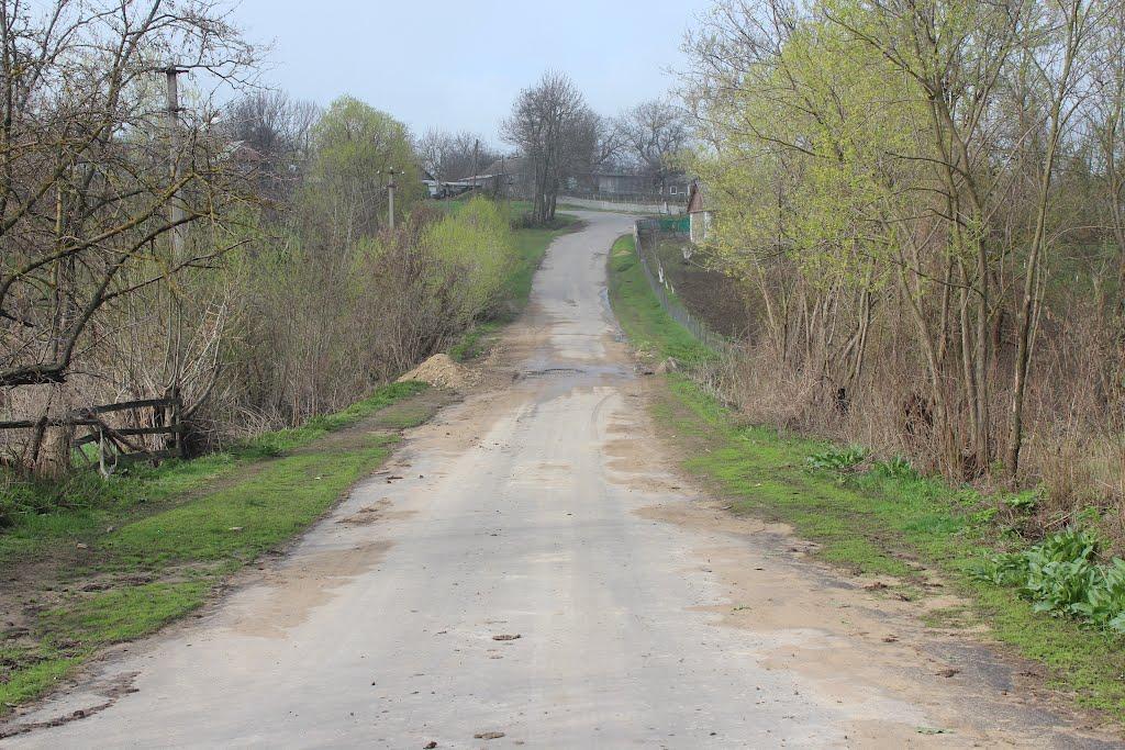 Степанки з panoramio.com - Степанки