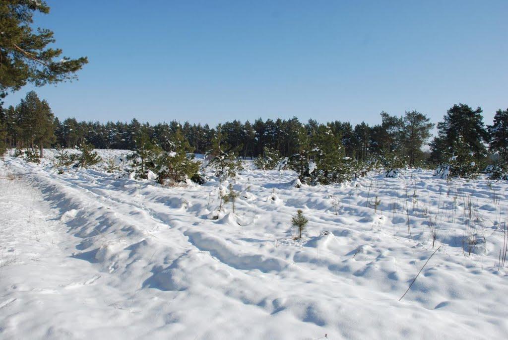 Баловне з panoramio.com - Баловне