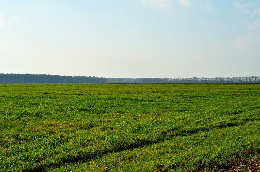 Малютянка з panoramio.com - Малютянка