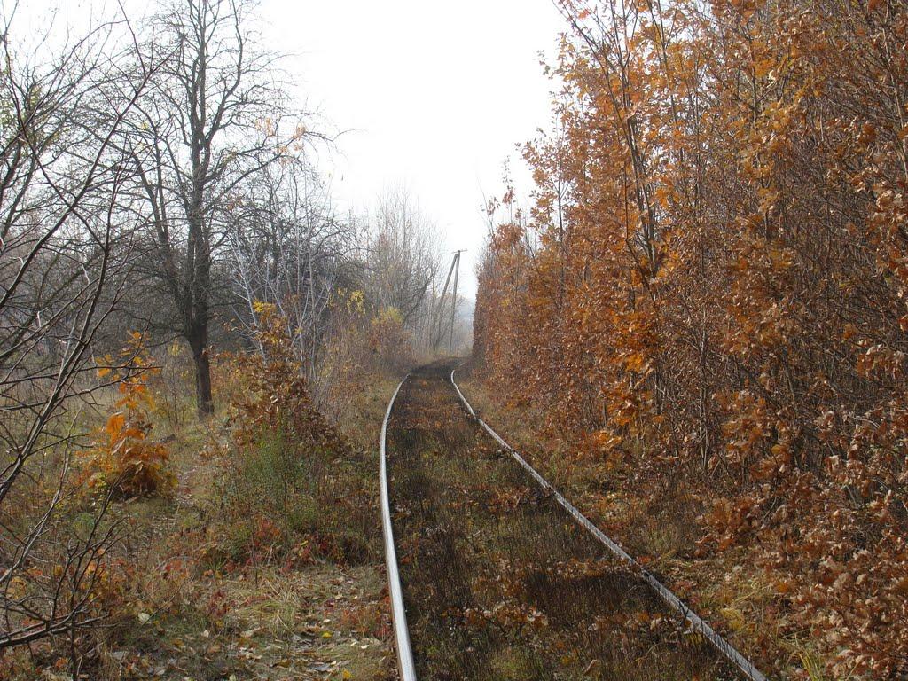 Клевань з panoramio.com - Клевань