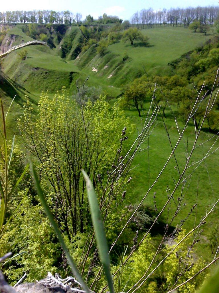 Чечелеве з panoramio.com - Чечелеве