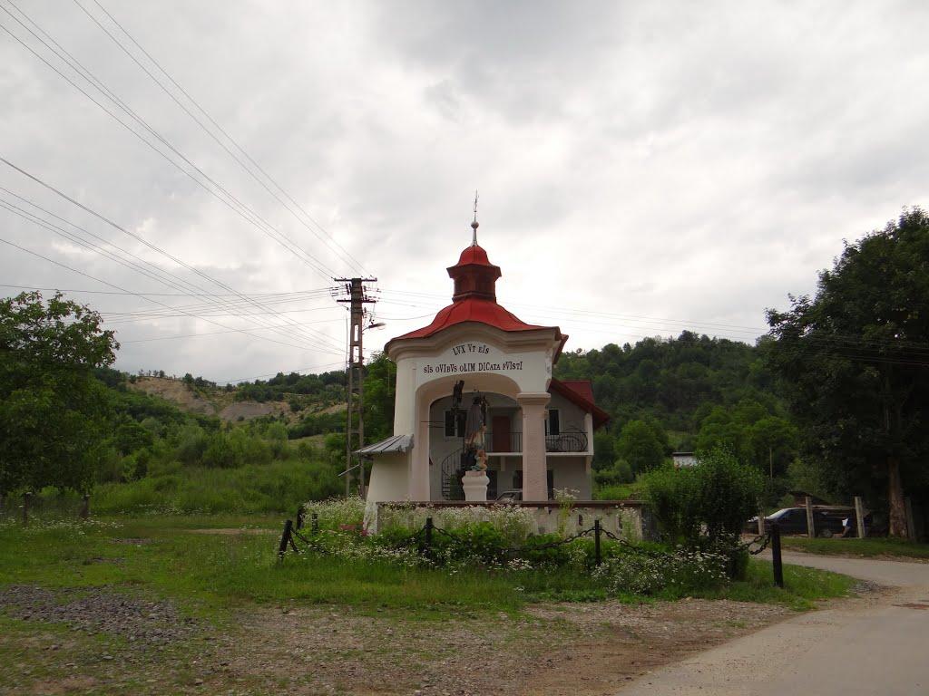 Великий Бичків з panoramio.com - Великий Бичків