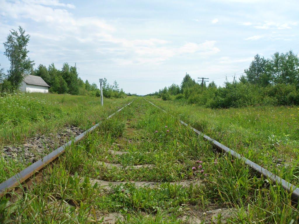 Ланчин з panoramio.com - Lanchyn