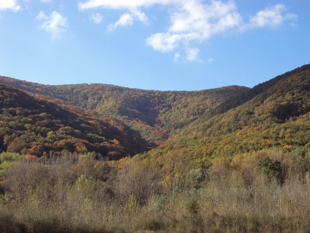 Мала Копаня з panoramio.com - Малая Копаня