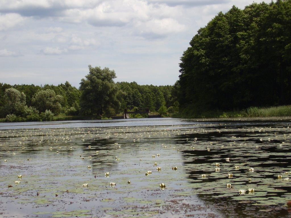 Іванівка з panoramio.com - Іванівка