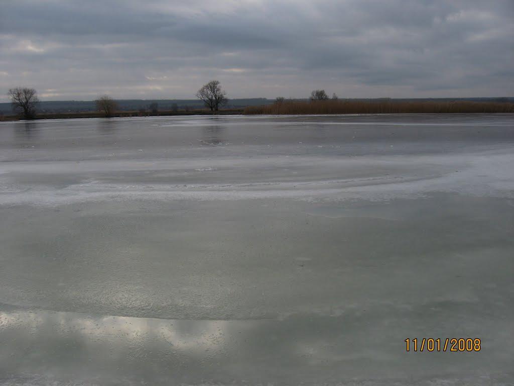 Білоусівка з panoramio.com - Bilousivka