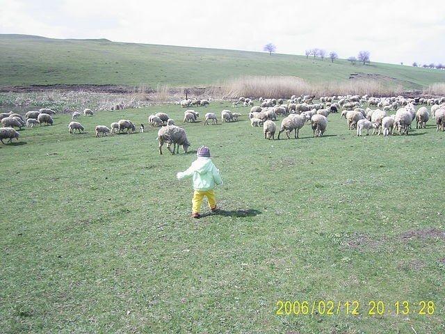 Малоярославець Другий з panoramio.com - Малоярославець Другий