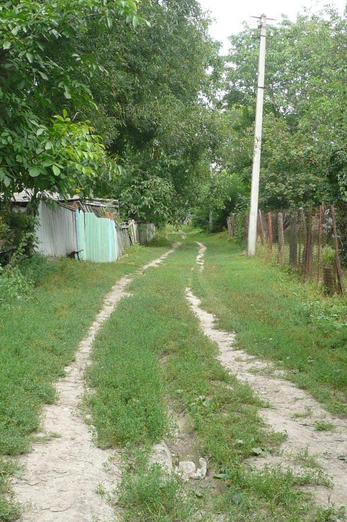 Михайлівці з panoramio.com - Михайлівці