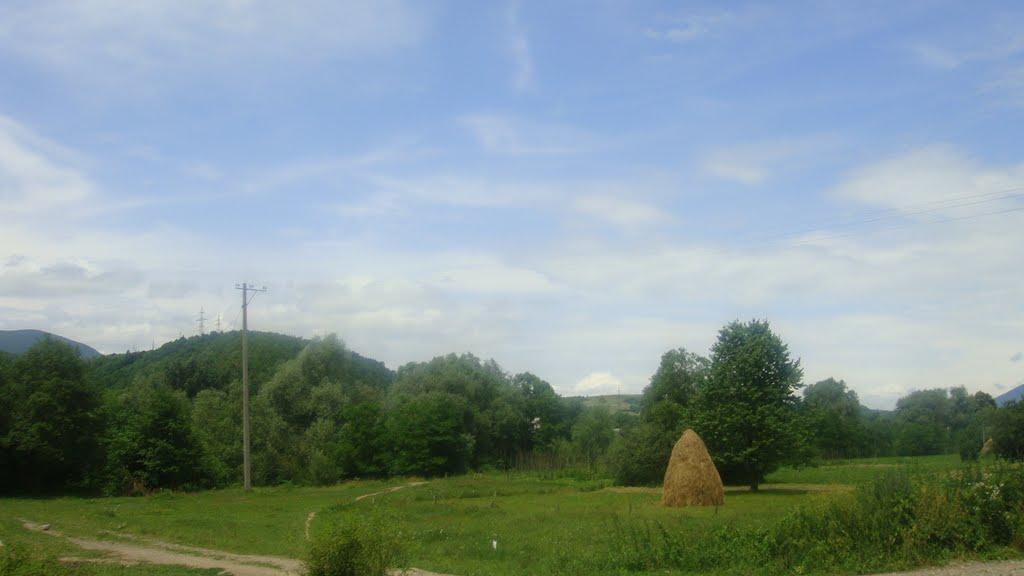 Свалява з panoramio.com - Svalyava