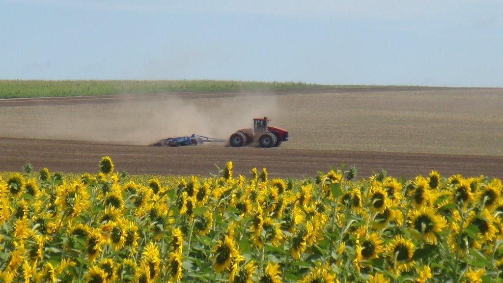 Римиги з panoramio.com - Римиги