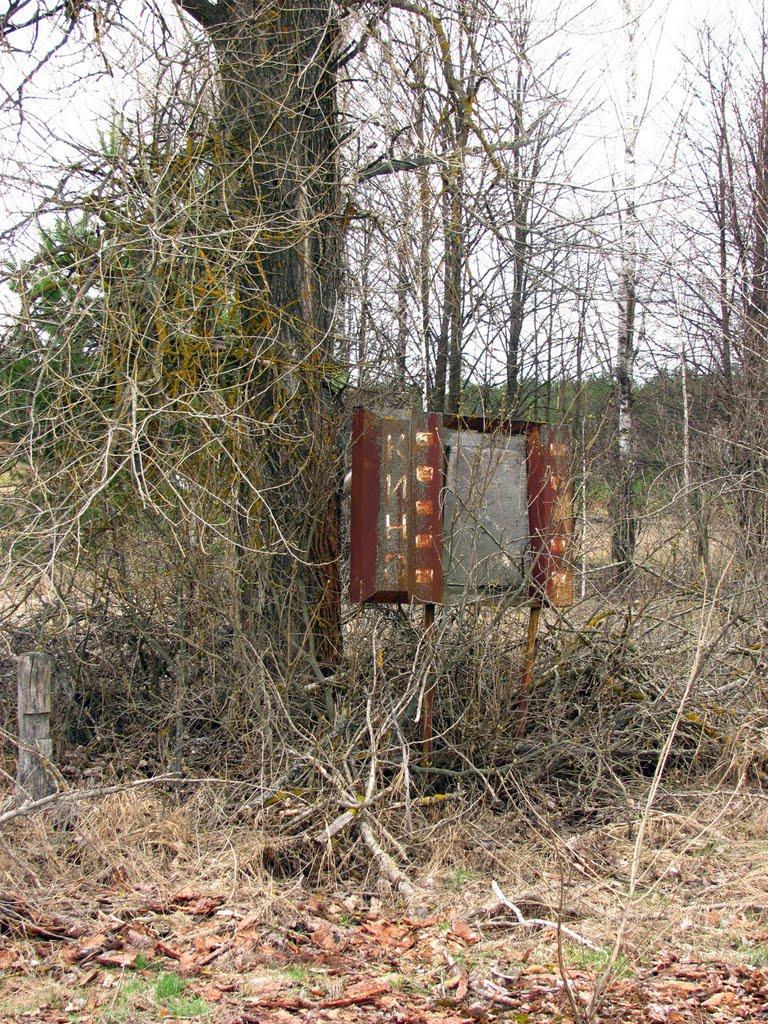 Нівецьке з panoramio.com - Нивецкое