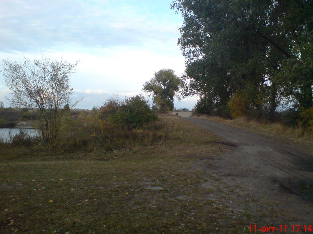 Новоселиця з panoramio.com - Новоселица