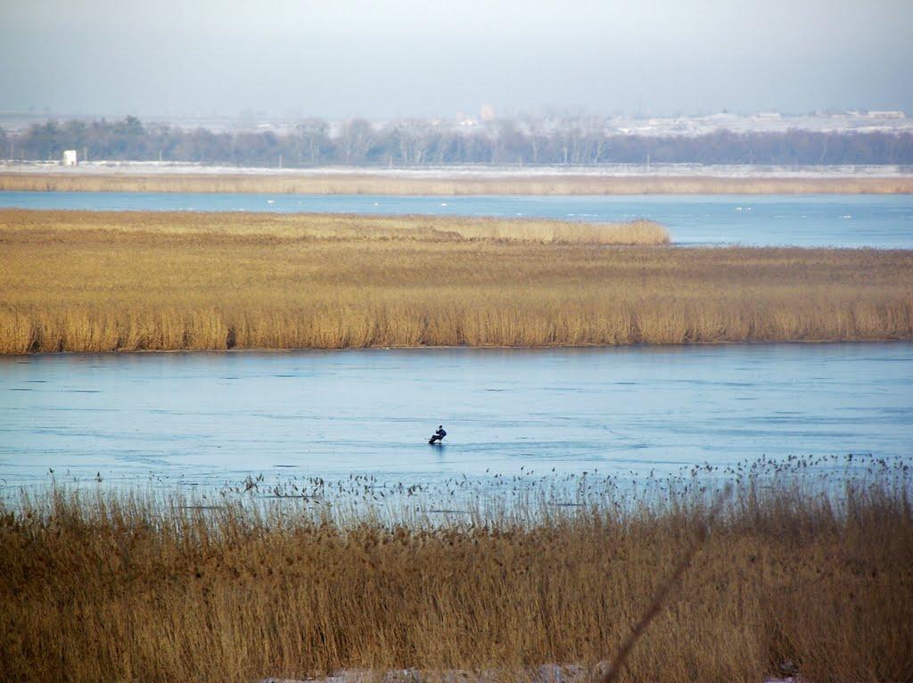 Орлівка з panoramio.com - Orlivka