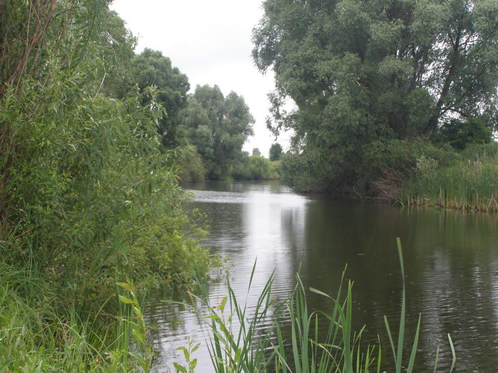 Гмирянка з panoramio.com - Гмирянка